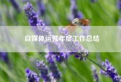 自媒体运营年度工作总结