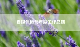 自媒体运营年度工作总结