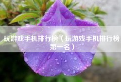 玩游戏手机排行榜（玩游戏手机排行榜第一名）