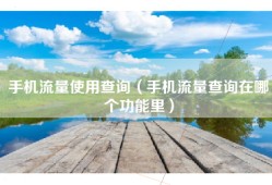手机流量使用查询（手机流量查询在哪个功能里）