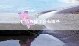 广告投放平台有哪些