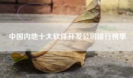 中国内地十大软件开发公司排行榜单