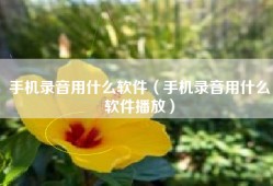 手机录音用什么软件（手机录音用什么软件播放）