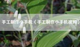 手工制作小手机（手工制作小手机视频）