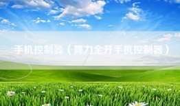 手机控制器（舞力全开手机控制器）