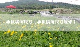 手机横屏尺寸（手机横屏尺寸厘米）