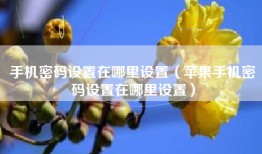 手机密码设置在哪里设置（苹果手机密码设置在哪里设置）