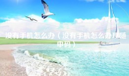 没有手机怎么办（没有手机怎么办理随申码）