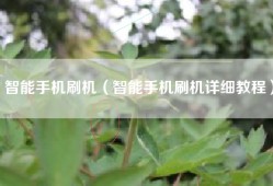 智能手机刷机（智能手机刷机详细教程）