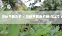 智能手机刷机（智能手机刷机详细教程）