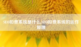 SEO扣费系统是什么,SEO扣费系统的运作原理