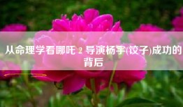 从命理学看哪吒 2 导演杨宇(饺子)成功的背后