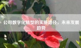 公司数字化转型的实施路径，未来发展趋势