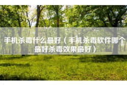 手机杀毒什么最好（手机杀毒软件哪个最好杀毒效果最好）