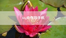 64g内存的手机
