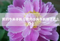 我的小米手机（我的小米手机坏了怎么办）