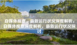 自媒体观察，最新运行状况深度解析，自媒体观察深度解析，最新运行状况探讨