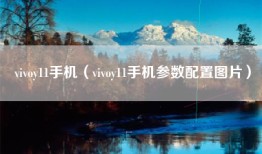 vivoy11手机（vivoy11手机参数配置图片）