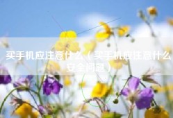 买手机应注意什么（买手机应注意什么安全问题）