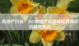 房地产行业：2021中国产业新城运营商评价研究报告
