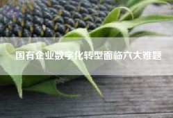国有企业数字化转型面临六大难题