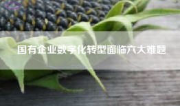国有企业数字化转型面临六大难题