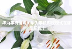 华为手机游戏（华为手机游戏模式在哪里设置）