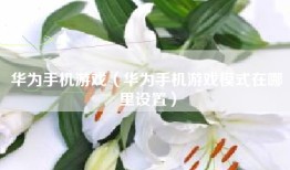 华为手机游戏（华为手机游戏模式在哪里设置）