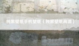 纯黑壁纸手机壁纸（纯黑壁纸高清）