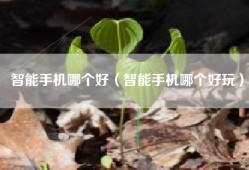 智能手机哪个好（智能手机哪个好玩）