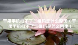苹果手机扫不了二维码是什么原因（苹果手机扫不了二维码是怎么回事）