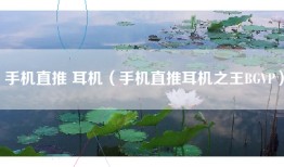 手机直推 耳机（手机直推耳机之王BGVP）
