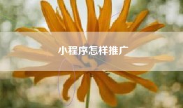 小程序怎样推广