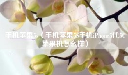 手机苹果5s（手机苹果5S手机iPhone5代5C苹果机怎幺样）
