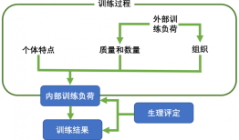 【体育前沿】训练负荷量化研究的历史、现在与未来