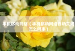 手机移动网络（手机移动网络自动关闭怎么回事）