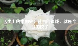 舌尖上的中国史：过去的馄饨，就是今日的饺子