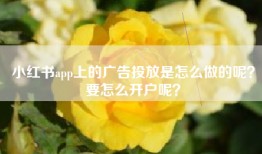 小红书app上的广告投放是怎么做的呢？要怎么开户呢？