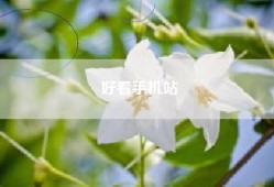 好看手机站