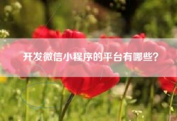 开发微信小程序的平台有哪些？