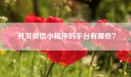 开发微信小程序的平台有哪些？