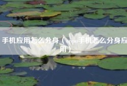 手机应用怎么分身（oppo手机怎么分身应用）
