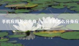 手机应用怎么分身（oppo手机怎么分身应用）