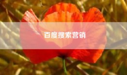 百度搜索营销