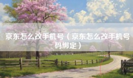 京东怎么改手机号（京东怎么改手机号码绑定）