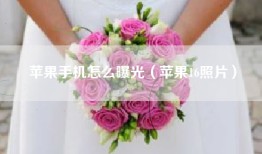 苹果手机怎么曝光（苹果16照片）