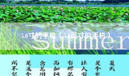 5.0寸的手机(5.0英寸的手机)