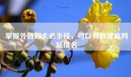 掌握外链四大必杀技，可以有效提高网站排名