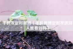 手机发定时微博（手机微博定时发送别人能看到吗）