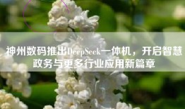 神州数码推出DeepSeek一体机，开启智慧政务与更多行业应用新篇章